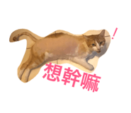 27087201