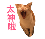27087203
