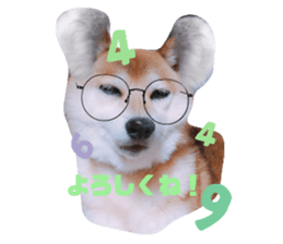 270909684