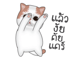 27091070
