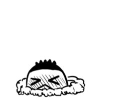 27098173
