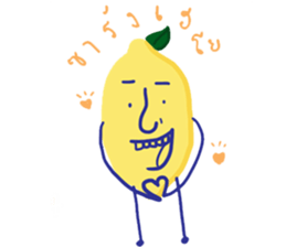 271045443