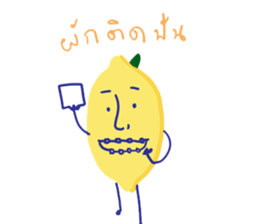 271045472