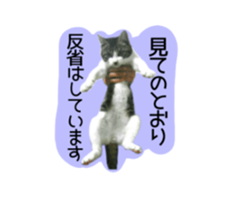 271083902