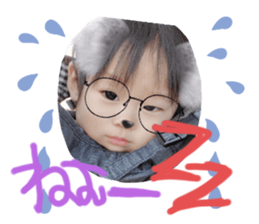 271144949