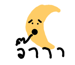 271242437