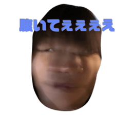 271288892