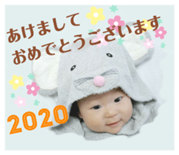 271343889