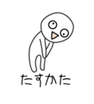 27136594