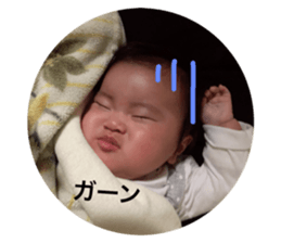 27138247