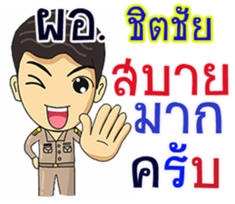 271490331