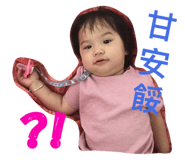 27166178