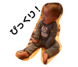 271667394