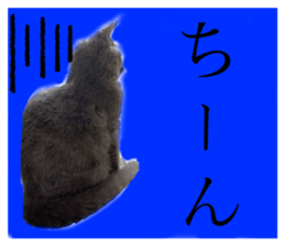 271738063