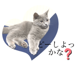 271738088