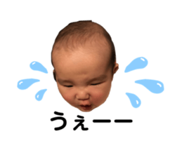 271762431