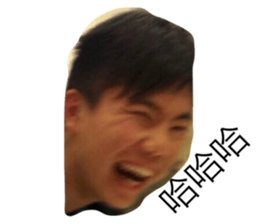27177320