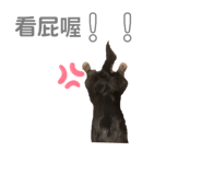 271811839