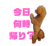271919670