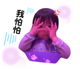 271932793