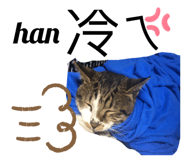 271990506