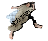 272070135