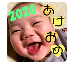 272077463
