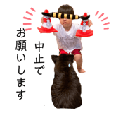 272172676