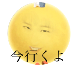 272180694