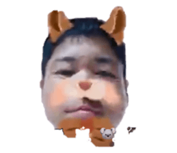 272183344