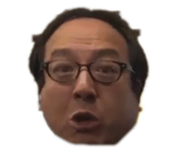272183345