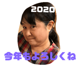 272191231