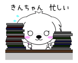 272212850
