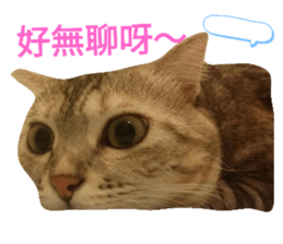 272227421