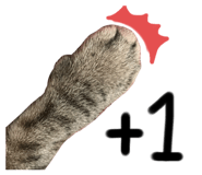 272232316
