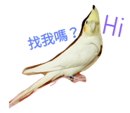 27229512