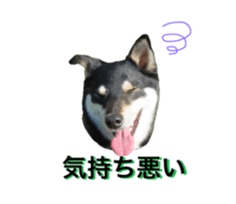 27234170