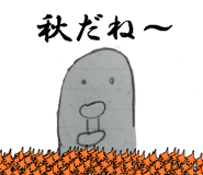 272347972