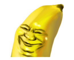 272370254