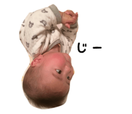 27238225