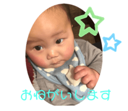 272384038