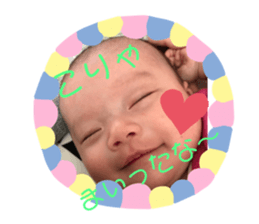 272388343