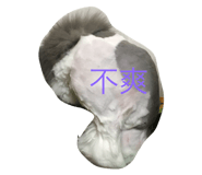 27239661