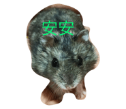 27239663