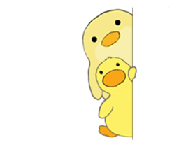 272449088