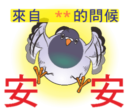 272469951