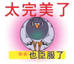 272469958