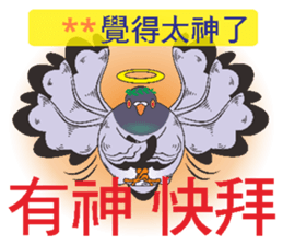272469982