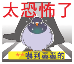 272469987