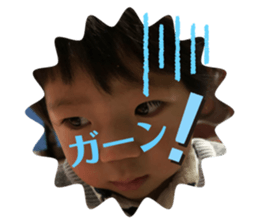 272491012